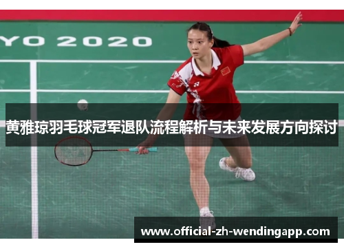 黄雅琼羽毛球冠军退队流程解析与未来发展方向探讨