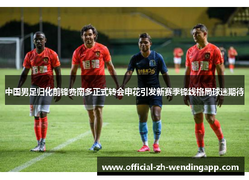 中国男足归化前锋费南多正式转会申花引发新赛季锋线格局球迷期待