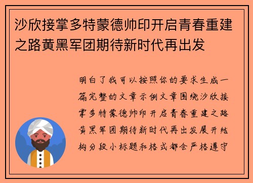 沙欣接掌多特蒙德帅印开启青春重建之路黄黑军团期待新时代再出发